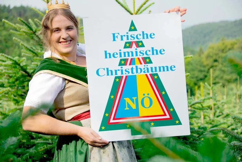 Portrait der Niederösterreichischen Christbaumkönigin